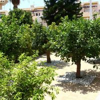 Villa in Spain, 750 sq.m.