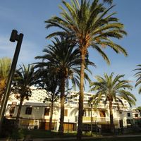 Бунгало у моря в Испании, Канарские Острова, Санта-Крус-де-Тенерифе, 75 кв.м.