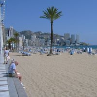 Apartment in the big city, at the seaside in Spain, Comunitat Valenciana, Benidorm, 55 sq.m.