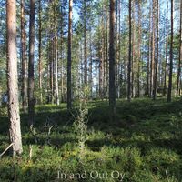 Land plot by the lake in Finland, Southern Savonia, Savonlinna