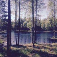 Land plot by the lake in Finland, Ruokolahti