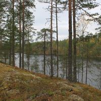 Земельный участок в Финляндии, Южное Саво, Руоколахти