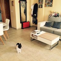 Bungalow in the suburbs, at the seaside in Spain, Comunitat Valenciana, Alicante, 127 sq.m.