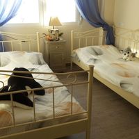 Апартаменты у моря в Испании, Валенсия, Торревьеха, 120 кв.м.