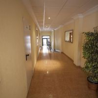 Апартаменты в большом городе, у моря в Испании, Валенсия, Торревьеха, 60 кв.м.