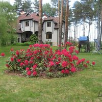Elite real estate in Latvia, Adazu Novads, Adazi, 413 sq.m.