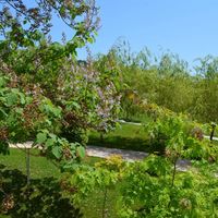 Apartment at the seaside in Bulgaria, Sveti Vlas, 80 sq.m.