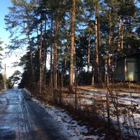 Land plot at the seaside in Latvia, Jurmala, Jaundubulti