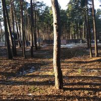 Land plot at the seaside in Latvia, Jurmala, Jaundubulti