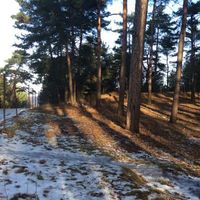 Land plot at the seaside in Latvia, Jurmala, Jaundubulti