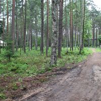 Land plot in the forest, at the seaside in Latvia, Jurmala, Jaundubulti