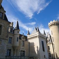 Castle in the suburbs in France, New Aquitaine, 1200 sq.m.