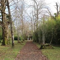 Замок в пригороде во Французской Гвиане, 330 кв.м.