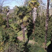 Замок в пригороде во Французской Гвиане, 330 кв.м.