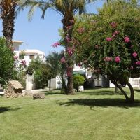 Bungalow at the seaside in Spain, Comunitat Valenciana, Torrevieja, 40 sq.m.