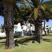 Bungalow at the seaside in Spain, Comunitat Valenciana, Torrevieja, 40 sq.m.