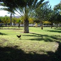 Квартира у моря в Испании, Валенсия, Торревьеха, 68 кв.м.