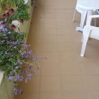 Apartment at the seaside in Bulgaria, Sunny Beach, 82 sq.m.