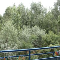 Flat at the seaside in Bulgaria, Sunny Beach, 86 sq.m.