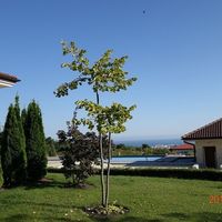 Villa in the mountains, in the suburbs, in the forest, at the seaside in Bulgaria, Nesebar, 765 sq.m.