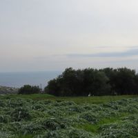 Земельный участок у моря в Италии, Бордигера
