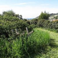Land plot at the seaside in Italy, Bordighera