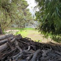 Элитная недвижимость у моря в Италии, Бордигера, 100 кв.м.