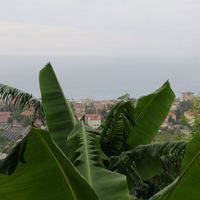 Элитная недвижимость у моря в Италии, Бордигера, 370 кв.м.