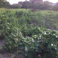 Земельный участок в пригороде в Болгарии