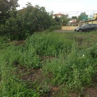 Земельный участок в пригороде в Болгарии