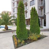 Апартаменты в Болгарии, Солнечный Берег, 102 кв.м.