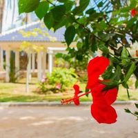 Квартира в Испании, Валенсия, Аликанте, 75 кв.м.