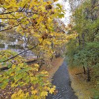 Квартира в большом городе в Чехии, Прага, Винограды, 35 кв.м.