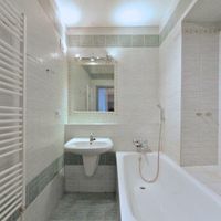 Flat Czechia, Prague, Vinohrady, 125 sq.m.