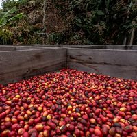 Elite real estate in the mountains in Spain, Canary Islands, Valsequillo de Gran Canaria, 223 sq.m.