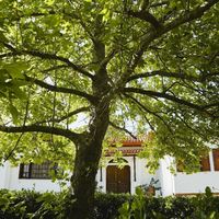 Villa at the seaside in Greece, Central Greece, Malesina, 480 sq.m.