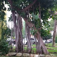 Flat in the big city in Spain, Comunitat Valenciana, Alicante, 72 sq.m.