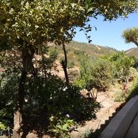 Вилла у моря в Португалии, 100 кв.м.