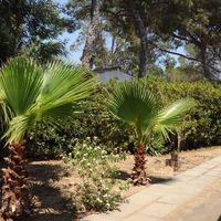 Villa in the village, in the suburbs, at the seaside in Spain, Catalunya, Girona, 500 sq.m.