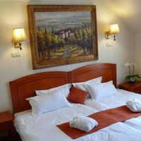 Отель (гостиница) в горах, на спа-курорте, у озера, в пригороде, в лесу в Венгрии, Будапешт, 5556 кв.м.