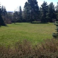 Land plot in the village, in the suburbs, in the forest in Austria, Upper Austria