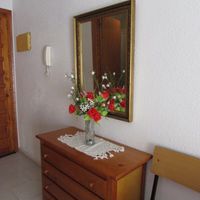 Апартаменты у озера, у моря в Испании, Валенсия, Торревьеха, 25 кв.м.