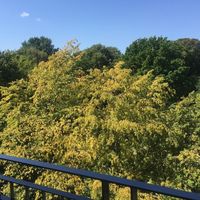 Квартира в Германии, Берлин, 126 кв.м.