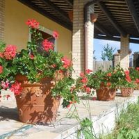 Villa in the village in Italy, Abruzzo, 270 sq.m.