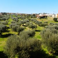 Apartment in the suburbs, at the seaside in Italy, Abruzzo, 75 sq.m.