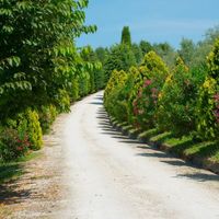 Вилла в пригороде в Италии, Абруццо, 500 кв.м.