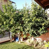 Apartment in the village in Italy, Abruzzo, 370 sq.m.