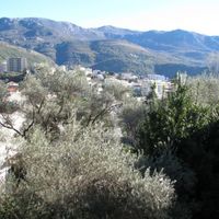 Квартира у моря в Черногории, Будва, Пржно, 51 кв.м.