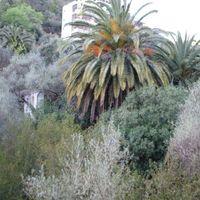 Квартира у моря в Черногории, Будва, Пржно, 51 кв.м.