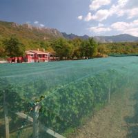Production in the village in Montenegro, Bar, Dobra Voda, 20000 sq.m.